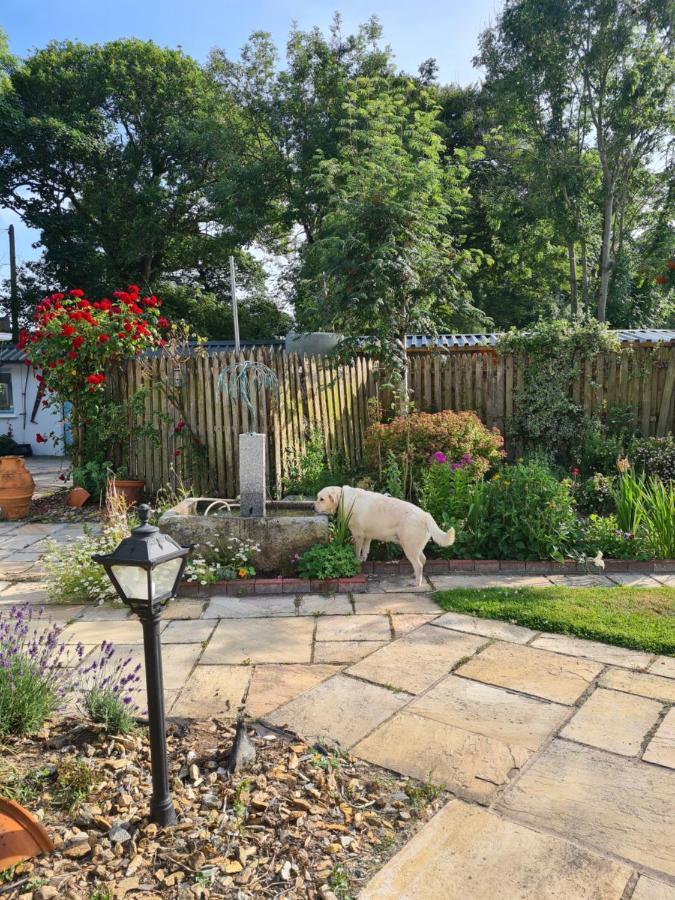 Brookvale Bed & Breakfast Wellingtonbridge Luaran gambar