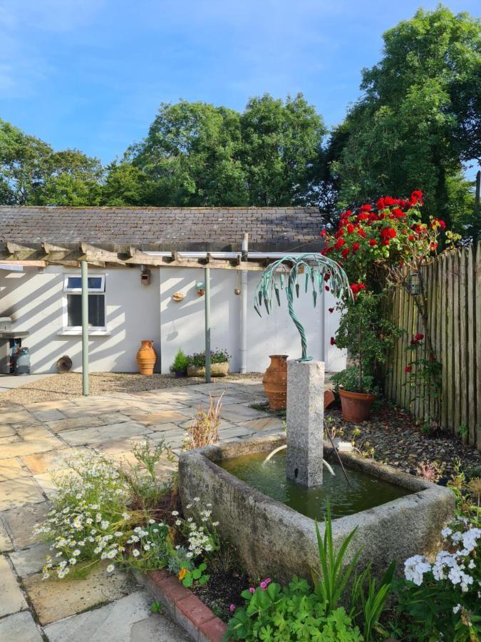Brookvale Bed & Breakfast Wellingtonbridge Luaran gambar
