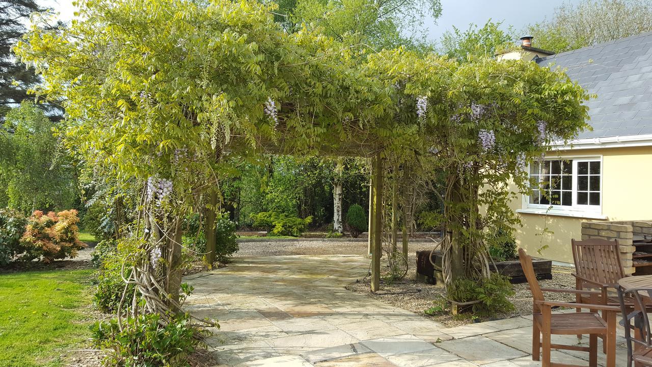 Brookvale Bed & Breakfast Wellingtonbridge Luaran gambar