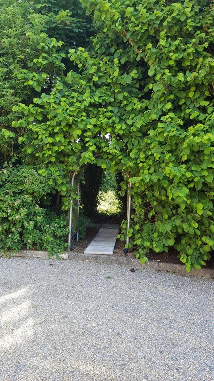 Brookvale Bed & Breakfast Wellingtonbridge Luaran gambar